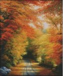 (image for) Autumn in New England